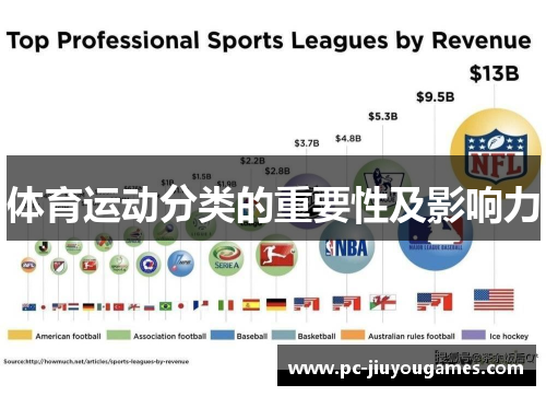 体育运动分类的重要性及影响力